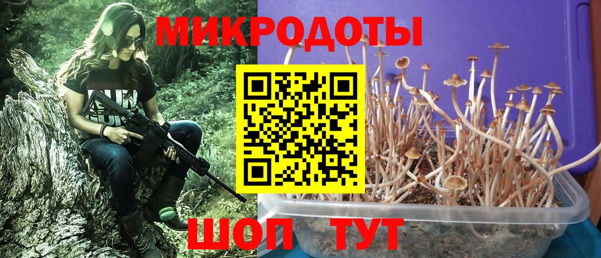 Галлюциногенные грибы Psilocybine cubensis  Вход с VPN  Галлюциногенные грибы Magic Shrooms  Добрянка 